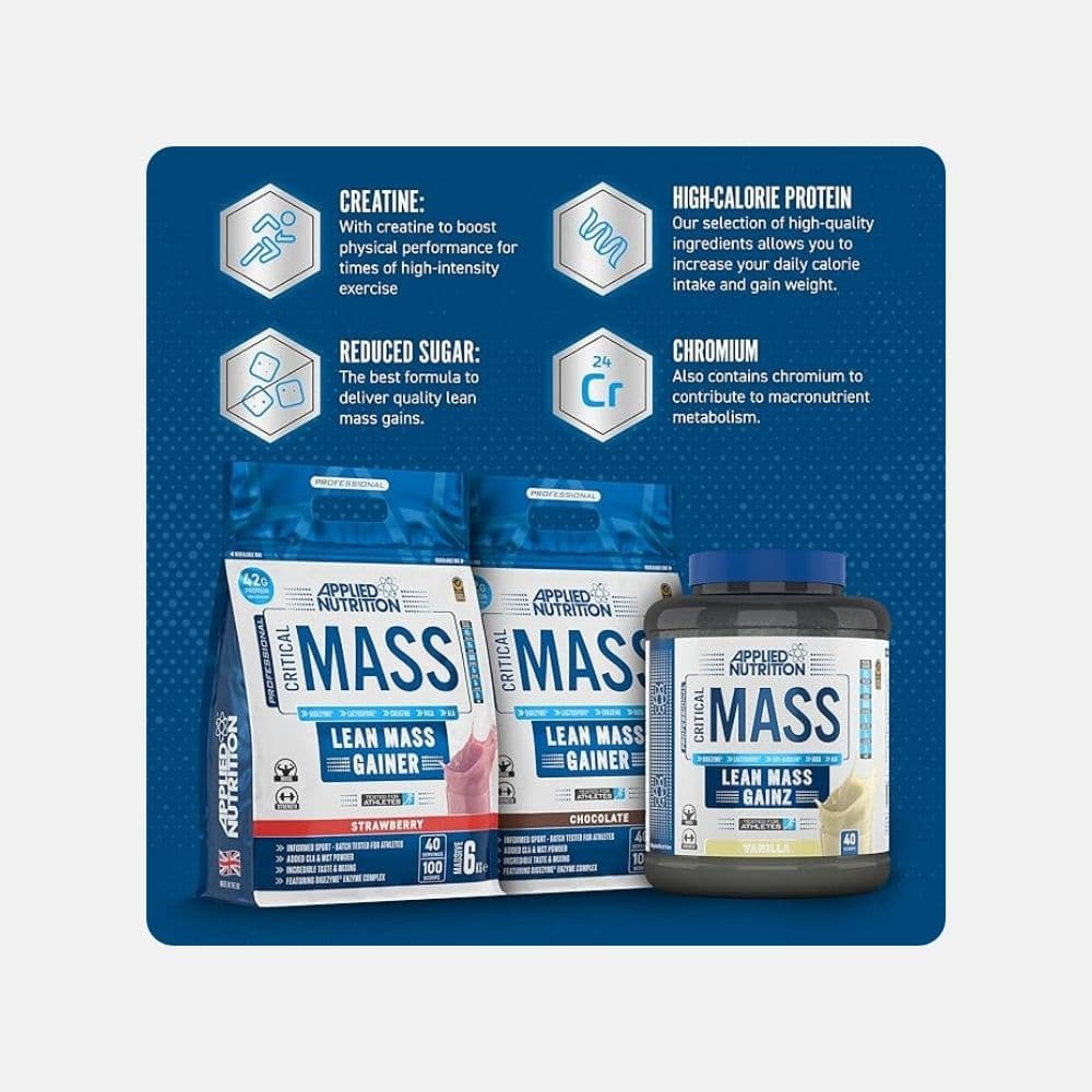 An Critical Mass Lean Mass Gainer 24kg 3