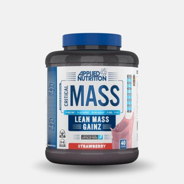 An Critical Mass Lean Mass Gainer 24kg