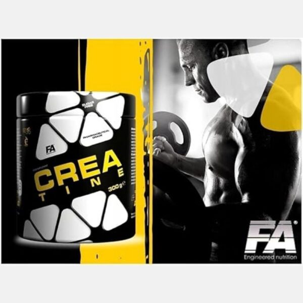 Fa Creatine 300g 3