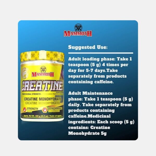 Mammoth Creatine 300g 299