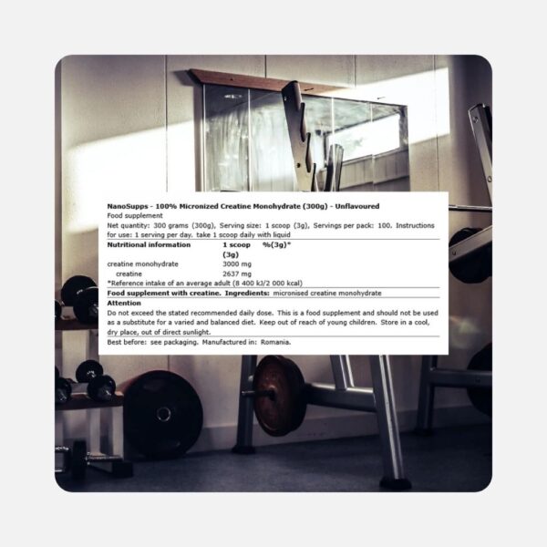 Nano Creatine Monohydrate 100s 2