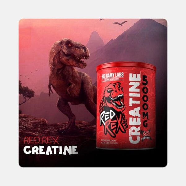Red Rex Creatine 5000mg 300g 4