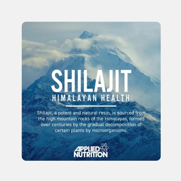 An Shilajit Himalayan Health 90 Caps 6