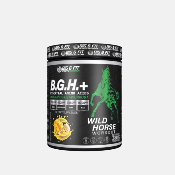Big Fit Bgheaa 380 G 2